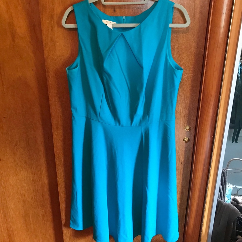 Blue knee length dress